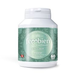 fembien Stillzeit